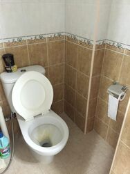 Blk 96 Toa Payoh Palm Spring (Toa Payoh), HDB 3 Rooms #359574891
